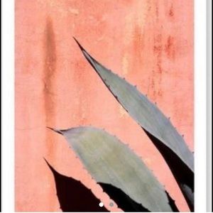 Fy! Peach Cactus Print